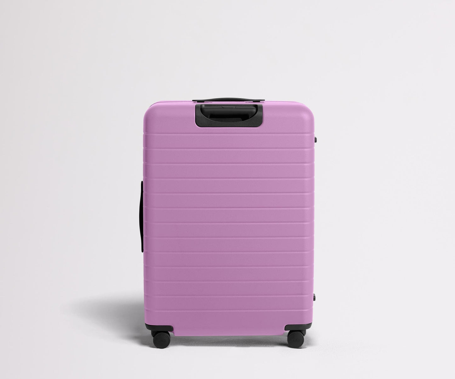 The Large in Taffy Purple