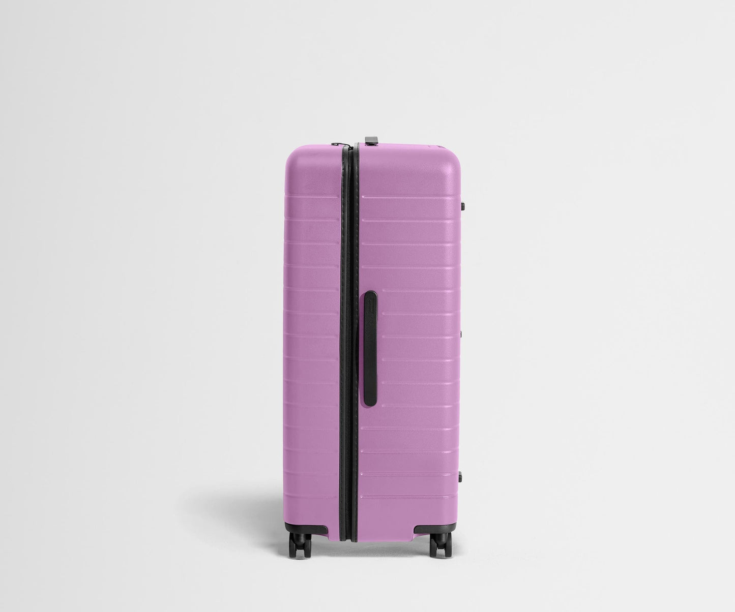 The Trunk in Taffy Purple