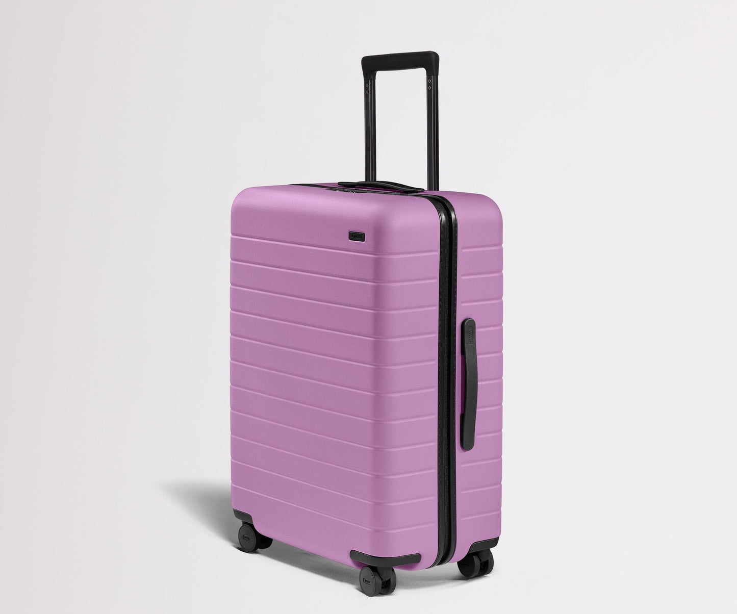 The Medium in Taffy Purple