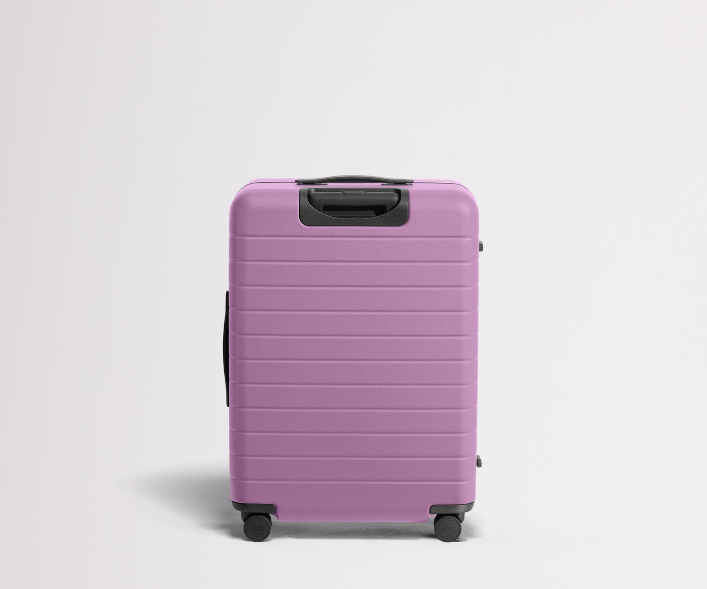 The Medium in Taffy Purple
