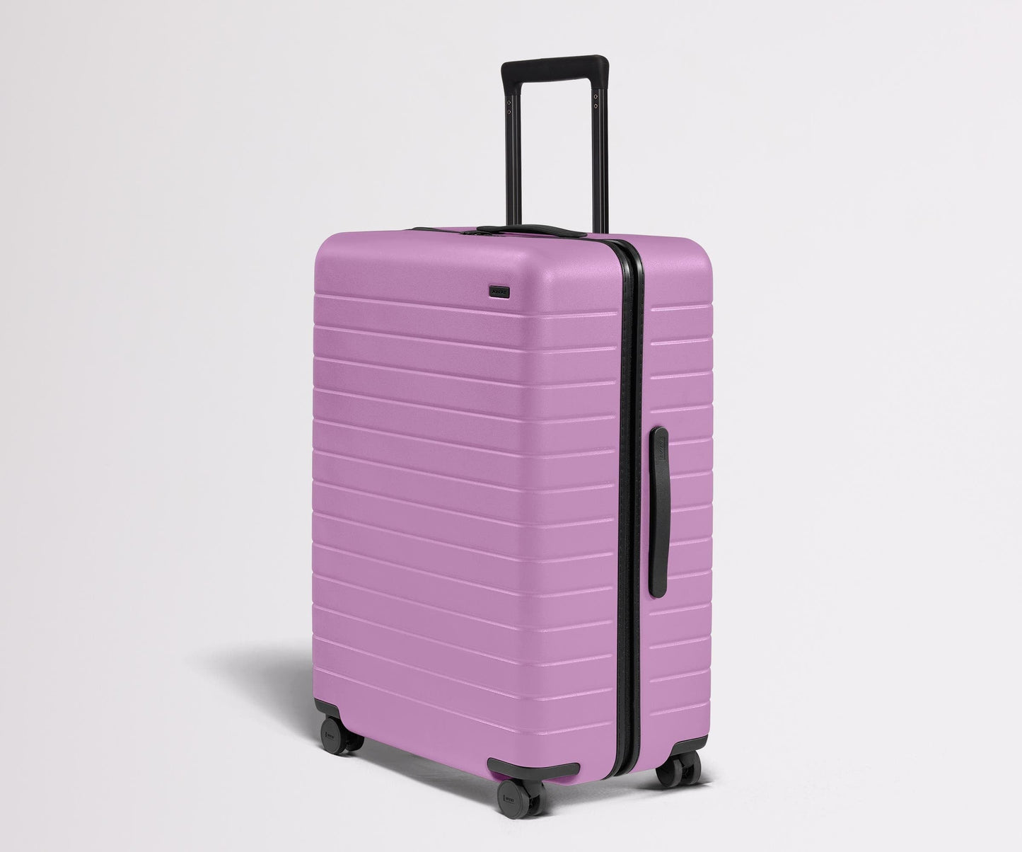 The Large in Taffy Purple