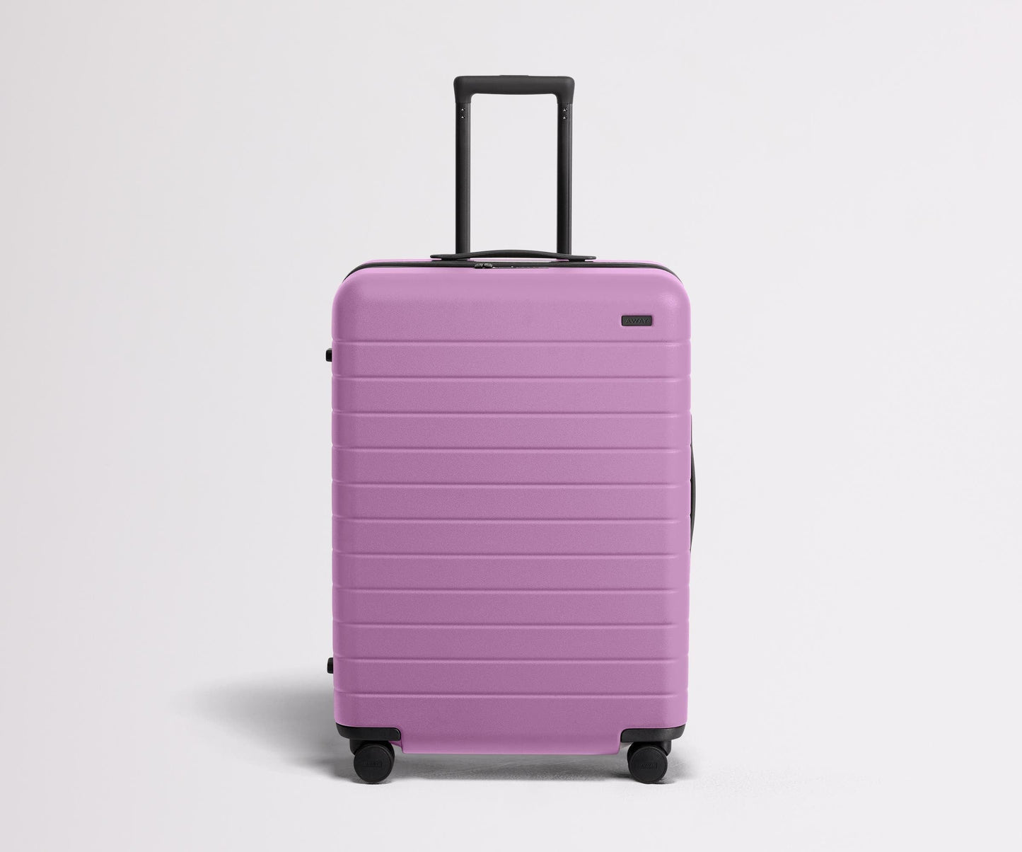 The Medium in Taffy Purple