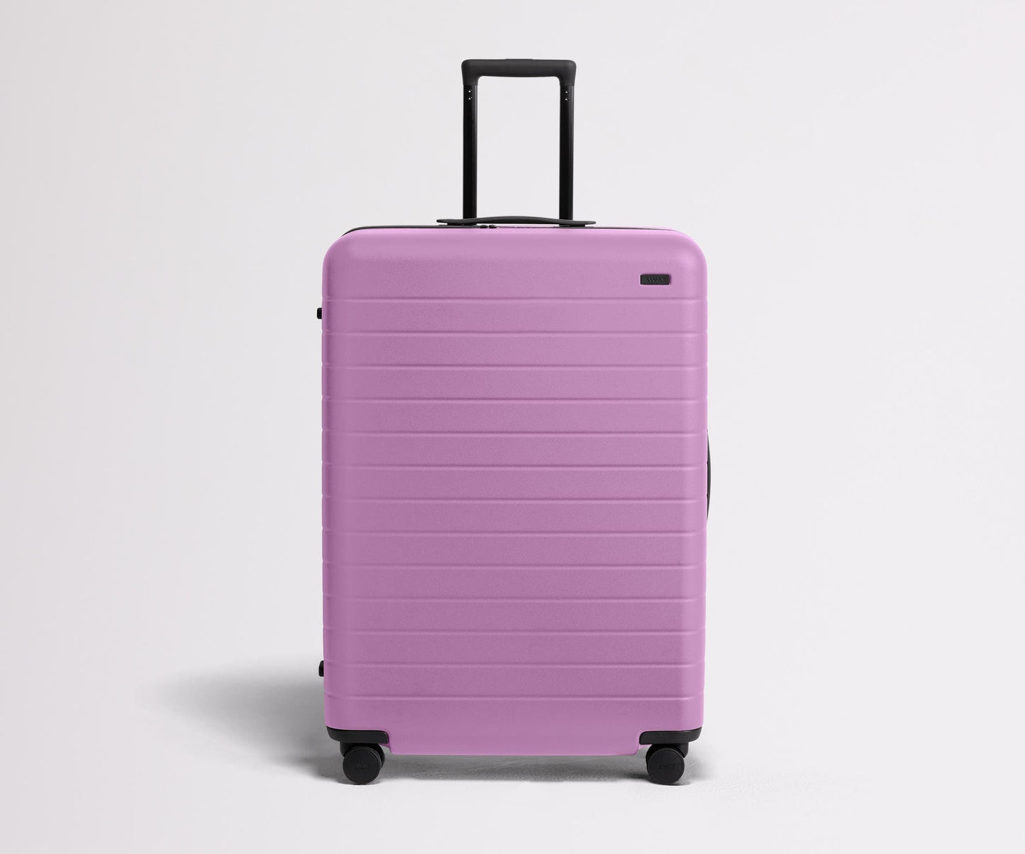 The Large in Taffy Purple
